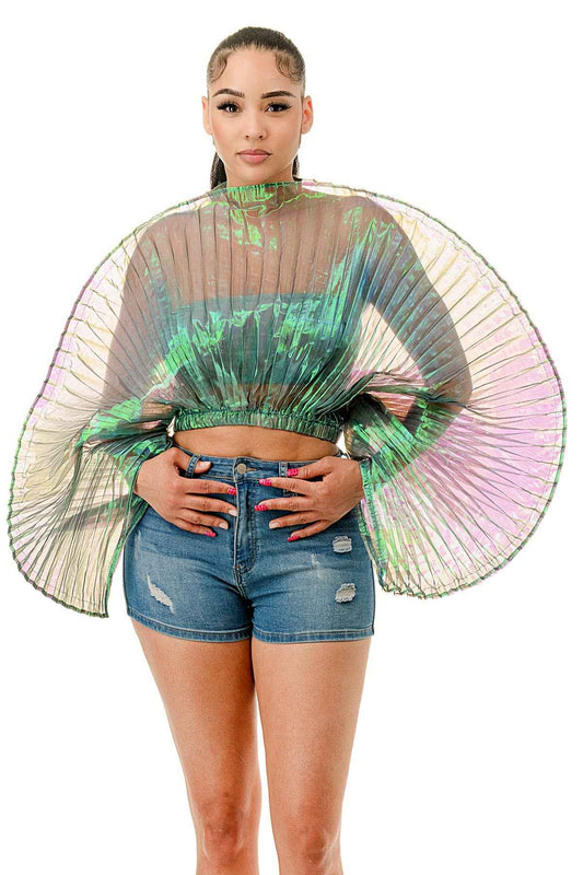 Regular Billowing Pleated Sheer Crop Top & Tube Top Set