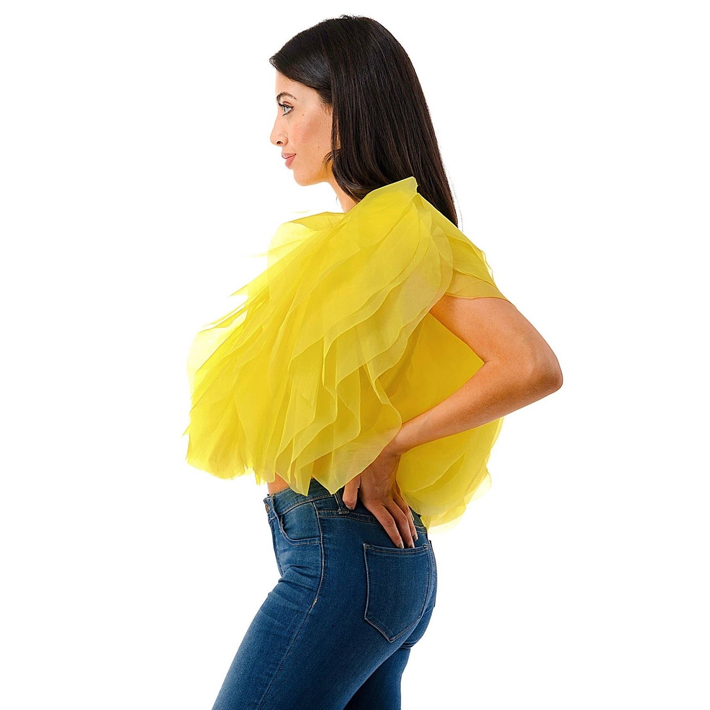 PLUS SIZE RUFFLE TULLE CROP TOP BLOUSE