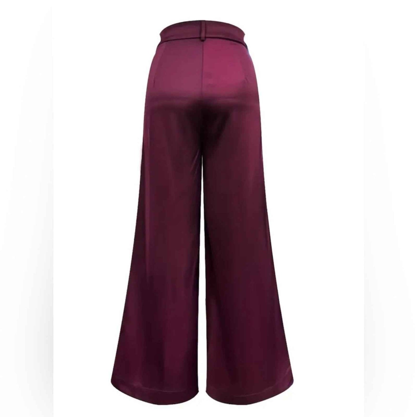 Women’s Elegant Loose Fit Pleated Zipper Fly Polyester Trousers culottes