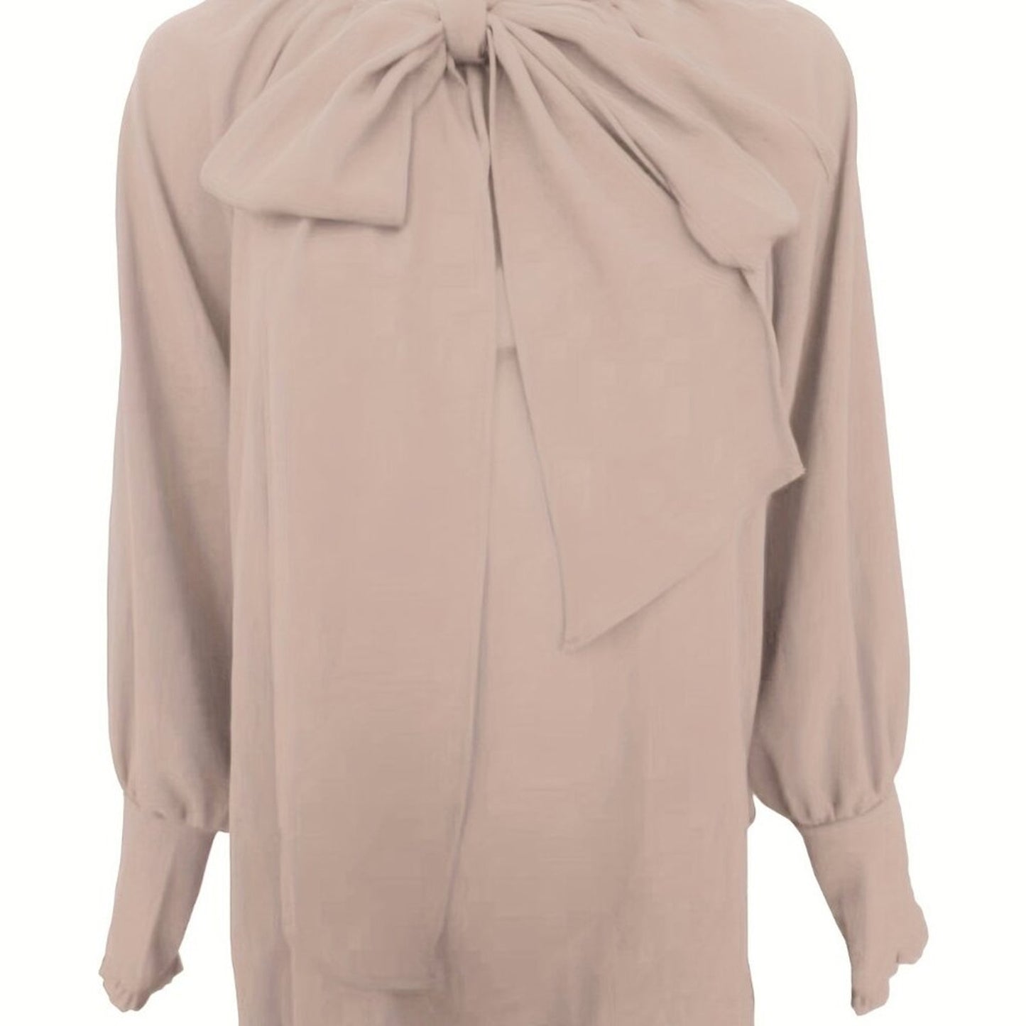Ruffled Tie Neck Long Sleeve Blouse