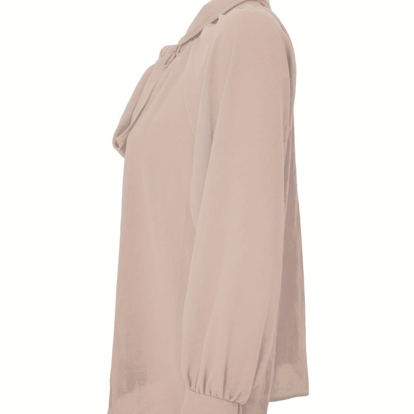 Ruffled Tie Neck Long Sleeve Blouse