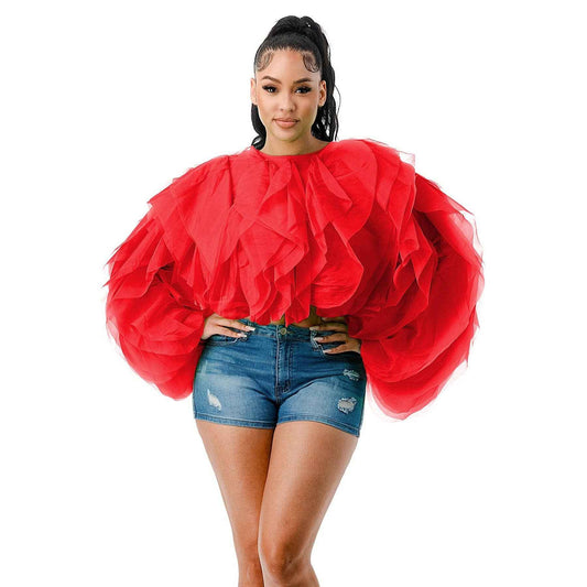 LONG SLEEVE RUFFLE TULLE CROP TOP BLOUSE