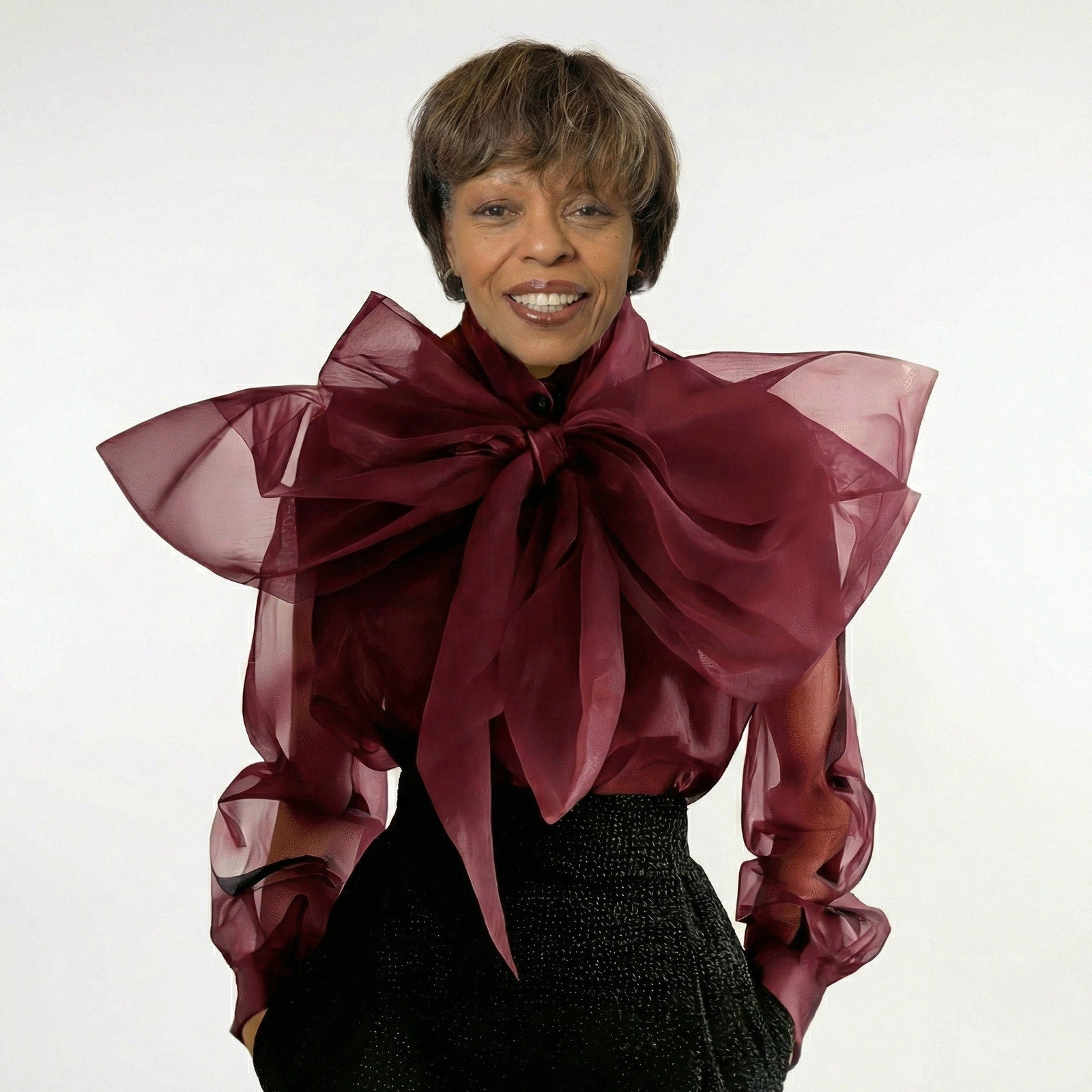 Elegant Sheer Bow Neck Blouse