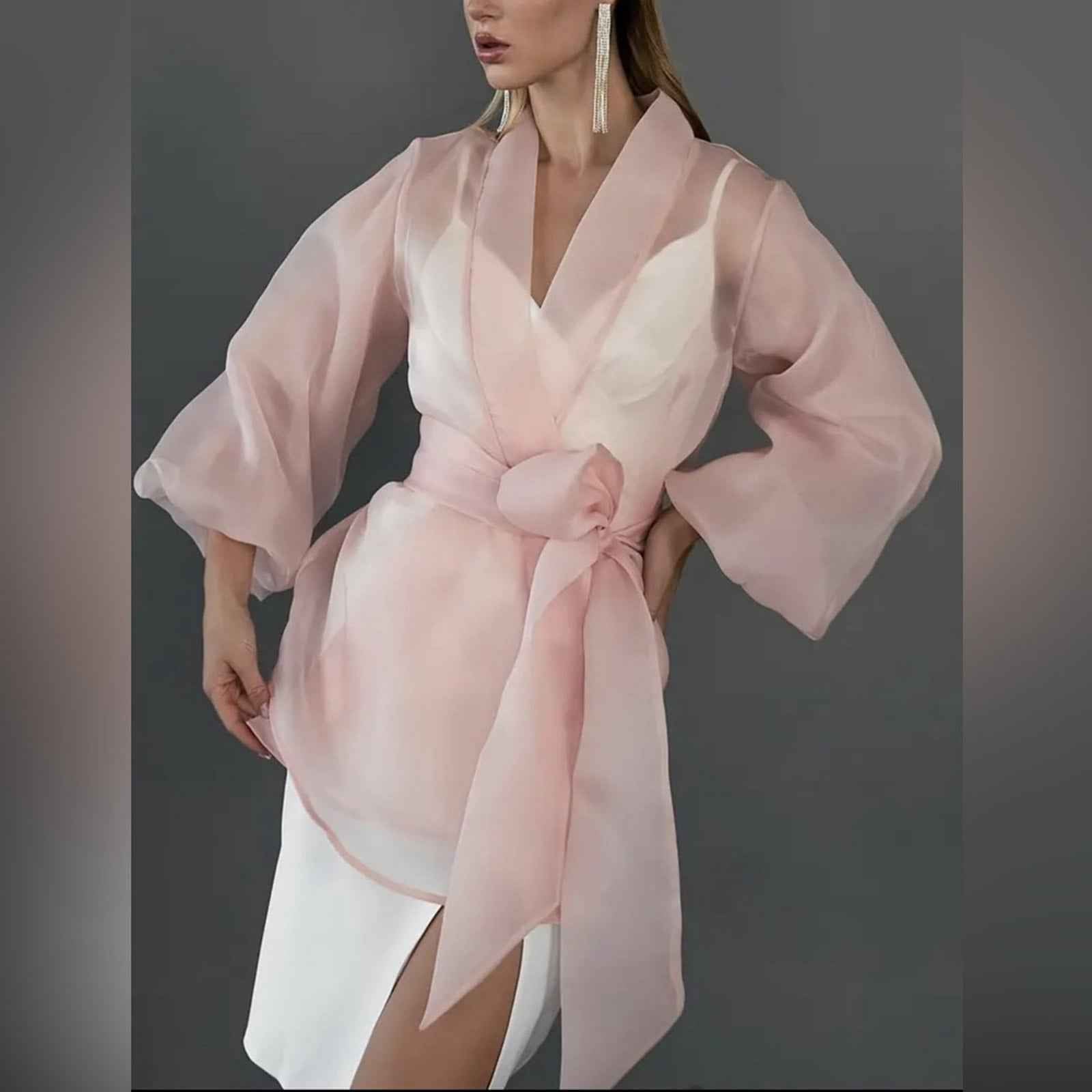 Plus Size Sheer Mesh Kimono Cardigan ORGANZA