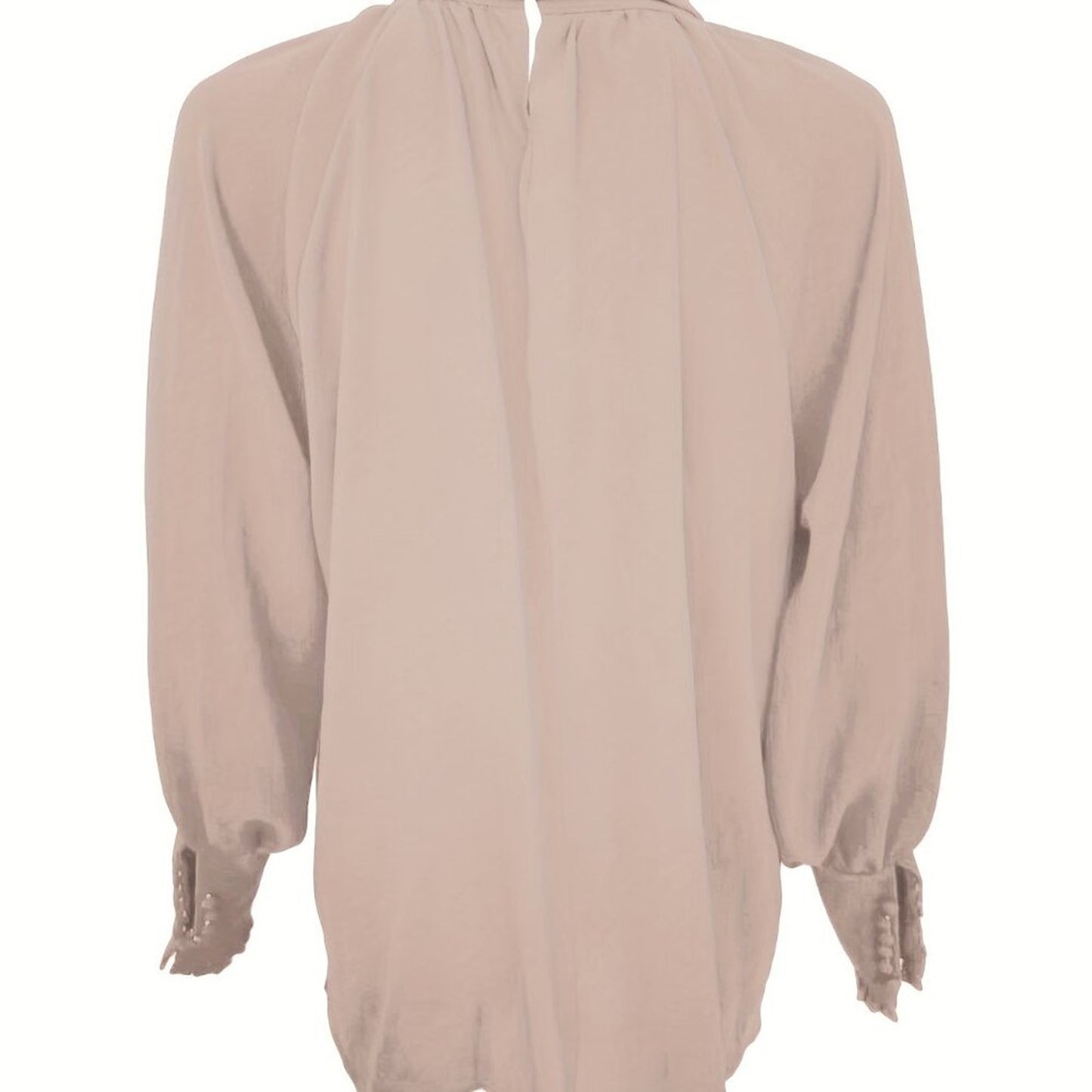 Ruffled Tie Neck Long Sleeve Blouse